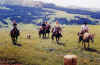 group_on_horses.JPG (83165 bytes)