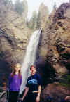 yellowstone_park_tower_falls.JPG (63466 bytes)