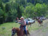 DSC00043_sm.jpg (77061 bytes)