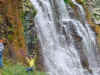 DSC00059-sm.jpg (83672 bytes)