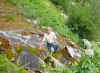 DSC00060_sm.jpg (88310 bytes)